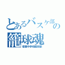 とあるバスケ部の籠球魂（若葉中学校籠球部）