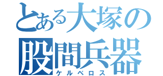 とある大塚の股間兵器（ケルベロス）