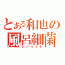 とある和也の風呂細菌（レジオネラ）