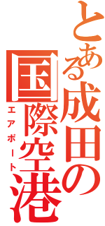 とある成田の国際空港（エアポート）