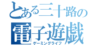 とある三十路の電子遊戯（ゲーミングライフ）