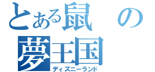 とある鼠の夢王国（ディズニーランド）