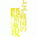 とある戦国の東照権現（徳川家康）