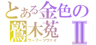 とある金色の鷲木菟Ⅱ（ウーフーツヴァイ）