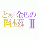 とある金色の鷲木菟Ⅱ（ウーフーツヴァイ）