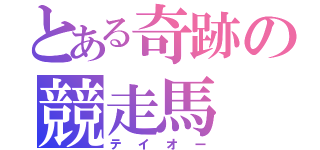 とある奇跡の競走馬（テイオー）