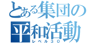 とある集団の平和活動（レベル３０）