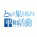 とある集団の平和活動（レベル３０）