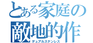 とある家庭の敵地的作（デュアルステンレス）