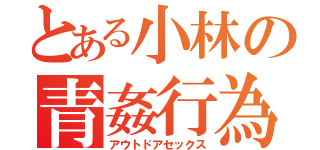 とある小林の青姦行為（アウトドアセックス）