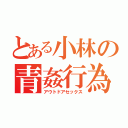 とある小林の青姦行為（アウトドアセックス）