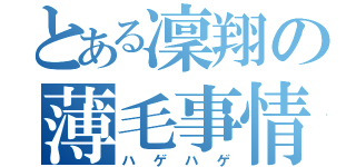 とある凜翔の薄毛事情（ハゲハゲ）