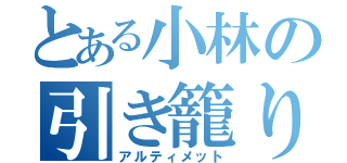 とある小林の引き籠り（アルティメット）