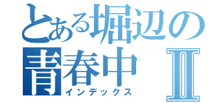 とある堀辺の青春中Ⅱ（インデックス）