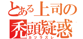 とある上司の禿頭疑惑（カツラズレ）