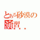 とある砂漠の演習（爆撃機）