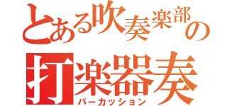 とある吹奏楽部の打楽器奏者（パーカッション）