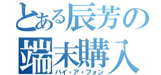 とある辰芳の端末購入（バイ・ア・フォン）