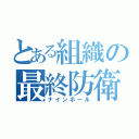 とある組織の最終防衛（ナインボール）