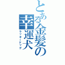 とある金髪の幸運犬（ラッキードッグ）