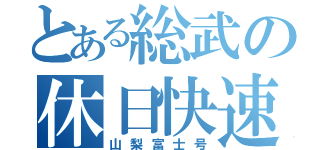 とある総武の休日快速（山梨富士号）