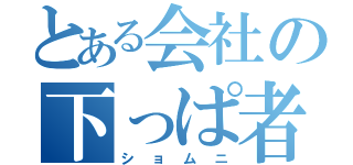 とある会社の下っぱ者（ショムニ）