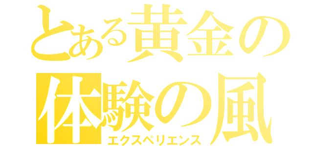 とある黄金の体験の風（エクスペリエンス）