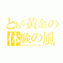 とある黄金の体験の風（エクスペリエンス）