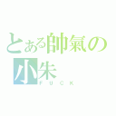 とある帥氣の小朱（Ｆ Ｕ Ｃ Ｋ）