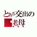 とある交出の你老母（肥撚哥）