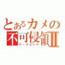 とあるカメの不可侵領域Ⅱ（ワークエリア）