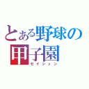 とある野球の甲子園（セイシュン）