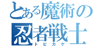 とある魔術の忍者戦士（トビカゲ）