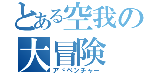 とある空我の大冒険（アドベンチャー）