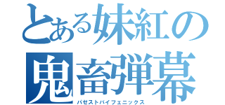 とある妹紅の鬼畜弾幕（パゼストバイフェニックス）