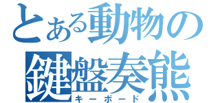 とある動物の鍵盤奏熊（キーボード）