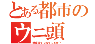 とある都市のウニ頭（熱膨張って知ってるか？）