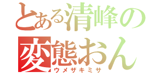 とある清峰の変態おんな（ウメザキミサ）