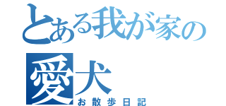 とある我が家の愛犬（お散歩日記）