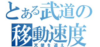 とある武道の移動速度（天使を追え）