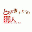 とあるきゃあァァァァァァァァァァァの猿人（インデックス）