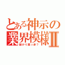 とある神示の業界模様Ⅱ（儲かり真っ赤？）