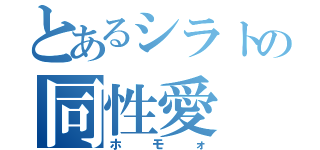 とあるシラトの同性愛（ホモォ）