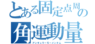 とある固定点周りの角運動量（アンギュラーモーメンタム）