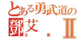 とある勇武道の鄧艾Ⅱ（士載）