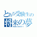 とある受験生の将来の夢（大空にはばたく）