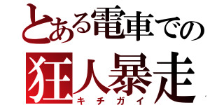 とある電車での狂人暴走（キ　チ　ガ　イ）