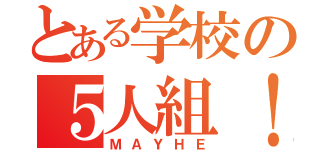 とある学校の５人組！（ＭＡＹＨＥ）