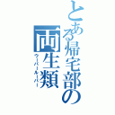 とある帰宅部の両生類（ウーパールーパー）