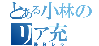 とある小林のリア充（爆発しろ）